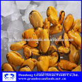 fresh frozen cooked mussel meat seafood